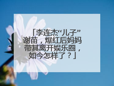 李连杰“儿子”谢苗,爆红后妈妈带其离开娱乐圈,如今怎样了?