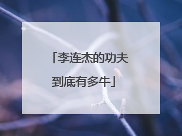 李连杰的功夫到底有多牛