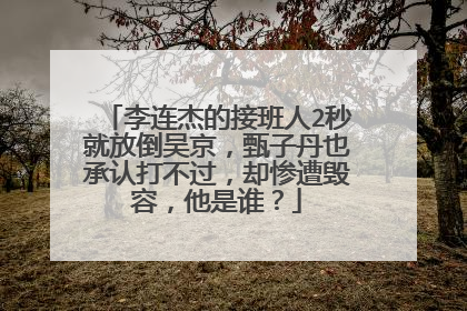 李连杰的接班人2秒就放倒吴京，甄子丹也承认打不过，却惨遭毁容，他是谁？