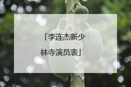 李连杰新少林寺演员表