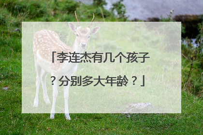 李连杰有几个孩子?分别多大年龄?