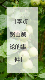 李贞贤山贼论的事件