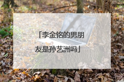 李金铭的男朋友是孙艺洲吗