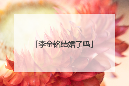 李金铭结婚了吗
