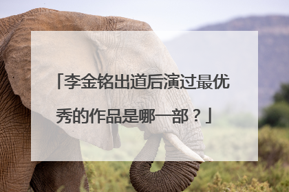 李金铭出道后演过最优秀的作品是哪一部？