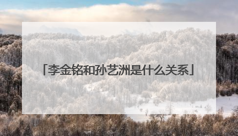 李金铭和孙艺洲是什么关系