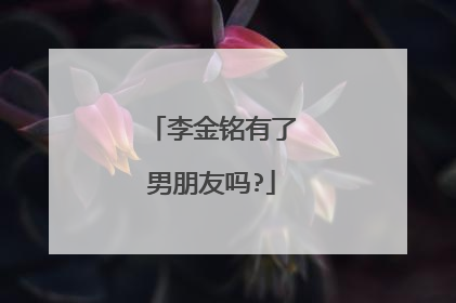 李金铭有了男朋友吗?