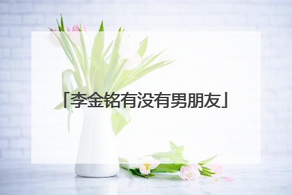 李金铭有没有男朋友
