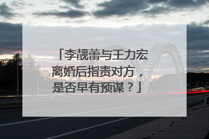 李靓蕾与王力宏离婚后指责对方，是否早有预谋？