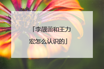 李靓蕾和王力宏怎么认识的