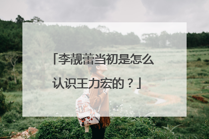 李靓蕾当初是怎么认识王力宏的?