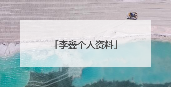 李鑫个人资料