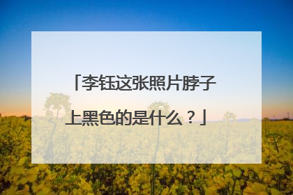 李钰这张照片脖子上黑色的是什么?