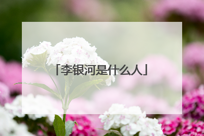 李银河是什么人