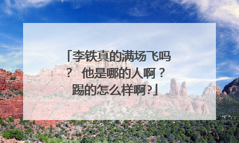 李铁真的满场飞吗? 他是哪的人啊? 踢的怎么样啊?