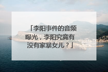 李阳事件的音频曝光，李阳究竟有没有家暴女儿？