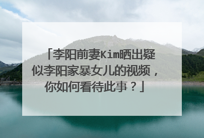 李阳前妻Kim晒出疑似李阳家暴女儿的视频，你如何看待此事？