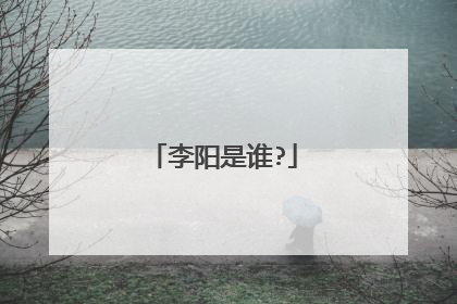 李阳是谁?