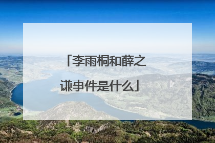 李雨桐和薛之谦事件是什么