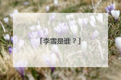 李雪是谁?