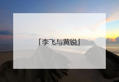 李飞与黄锐