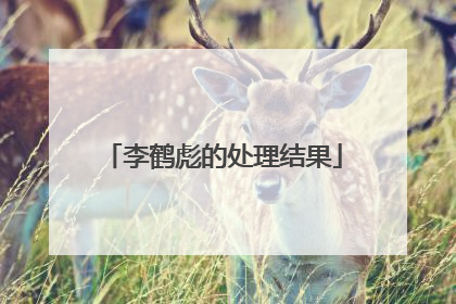 李鹤彪的处理结果