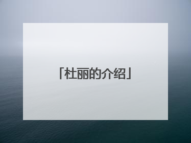 杜丽的介绍