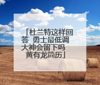 杜兰特这样回答 勇士最低调大神会留下吗 黄有龙简历