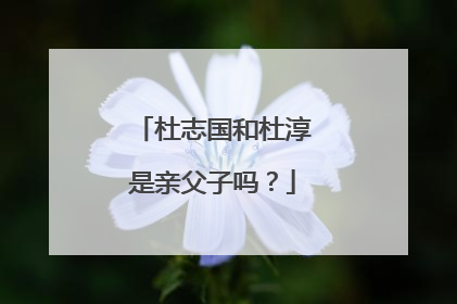 杜志国和杜淳是亲父子吗?