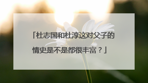 杜志国和杜淳这对父子的情史是不是都很丰富？
