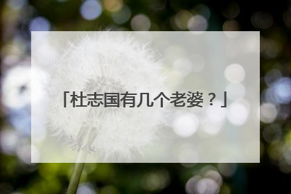 杜志国有几个老婆？