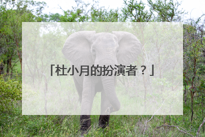 杜小月的扮演者？