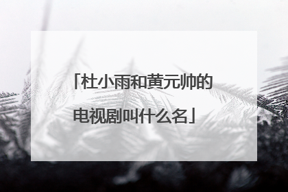 杜小雨和黄元帅的电视剧叫什么名