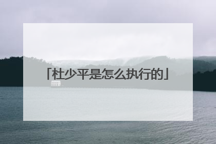 杜少平是怎么执行的