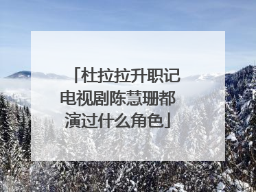 杜拉拉升职记电视剧陈慧珊都演过什么角色