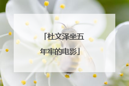 杜文泽坐五年牢的电影