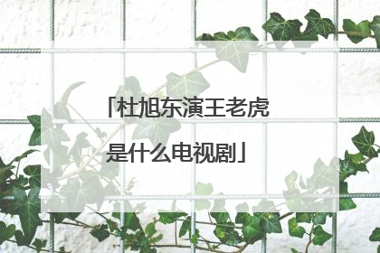 杜旭东演王老虎是什么电视剧