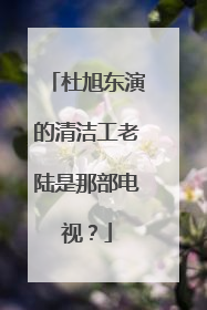 杜旭东演的清洁工老陆是那部电视?