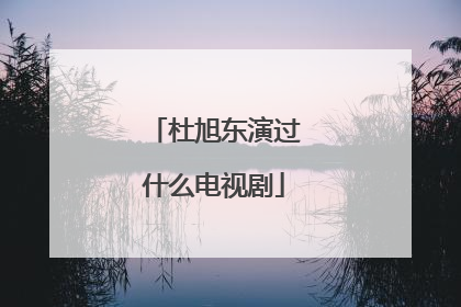 杜旭东演过什么电视剧