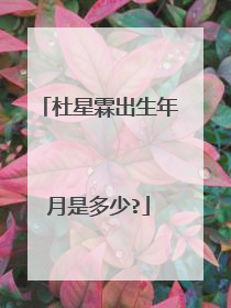 杜星霖出生年月是多少?