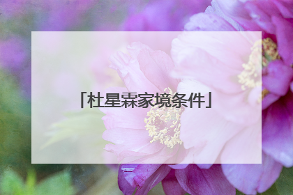 杜星霖家境条件