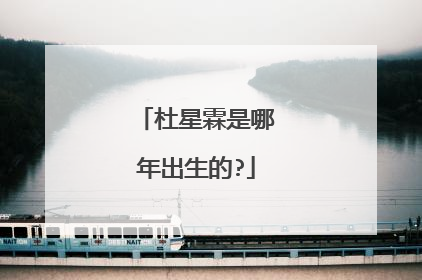 杜星霖是哪年出生的?