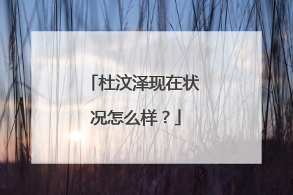 杜汶泽现在状况怎么样？