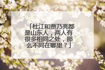 杜江和贾乃亮都是山东人,两人有很多相同之处,那么不同在哪里?