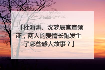 杜海涛、沈梦辰官宣领证,两人的爱情长跑发生了哪些感人故事?