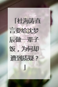 杜海涛直言要给沈梦辰做一辈子饭，为何却遭到质疑？