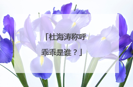 杜海涛称呼乖乖是谁?