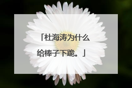 杜海涛为什么给棒子下跪。