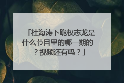 杜海涛下跪权志龙是什么节目里的哪一期的?视频还有吗?