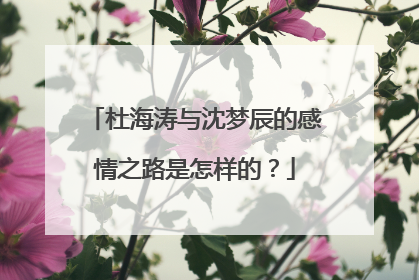 杜海涛与沈梦辰的感情之路是怎样的？